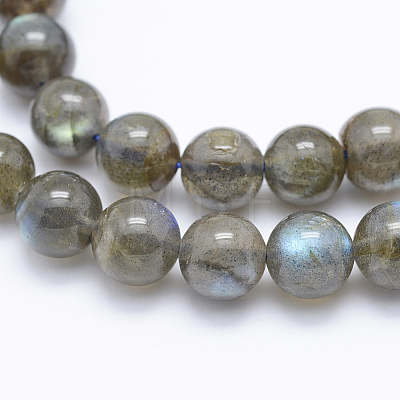 Natural Labradorite Beads Strands X-G-P336-19-8mm-1
