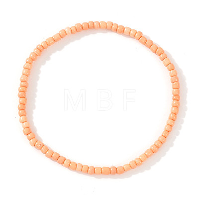 Glass Seed Beads Stretch Bracelets ZE8223-21-1