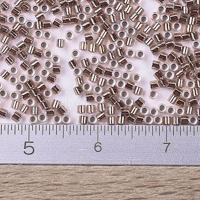 MIYUKI Delica Beads Small SEED-X0054-DBS0037-1