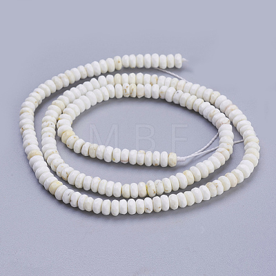 Natural Magnesite Beads Strands G-K255-25-1
