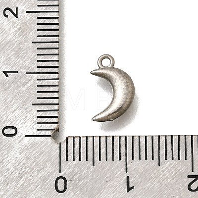 304 Stainless Steel Charms STAS-D310-06P-02-1