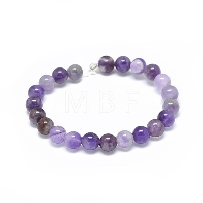 Natural Amethyst Beads Strands G-G791-11-B02-1