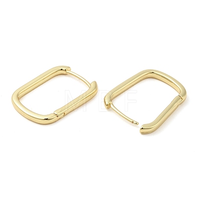 Rack Plating Brass Hoop Earrings EJEW-Q773-19G-1