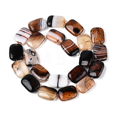 Natural Agate Beads Strands G-N356-03A-04-1