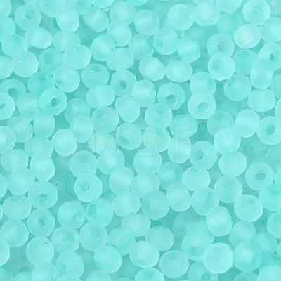 FGB Frosted Transparent Glass Seed Beads SEED-N013-04A-10-1