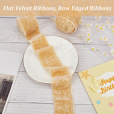 Flat Velvet Ribbons OCOR-WH0078-91B-08-1
