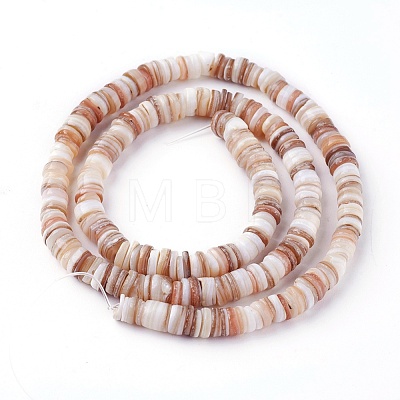 Natural Shell Beads Strands X-SSHEL-E571-49D-1