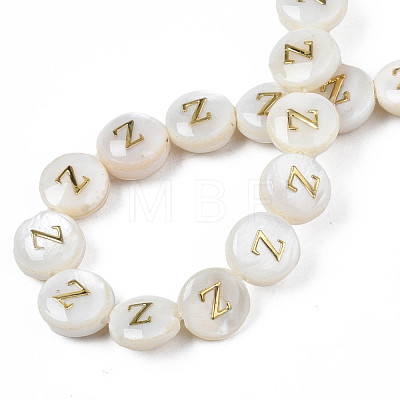 Natural Freshwater Shell Beads SHEL-S276-168Z-1