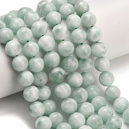 Glass Beads Strands G-L642-B18-10mm-1