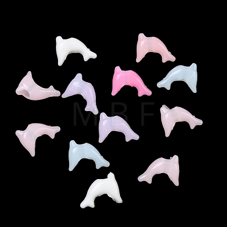 Plastic European Beads KY-F023-14-1