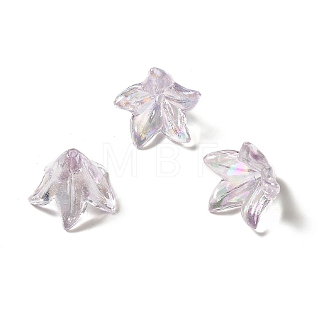 Transparent Acrylic Bead Caps OACR-H016-05B-1