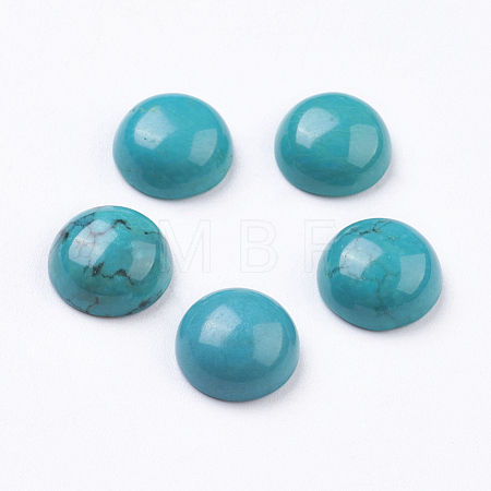 Natural Howlite Cabochons G-E482-09B-1
