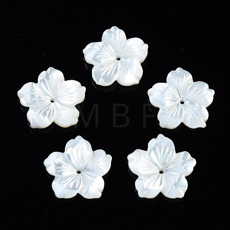 Natural White Shell Mother of Pearl Shell Beads SSHEL-T014-42C-1