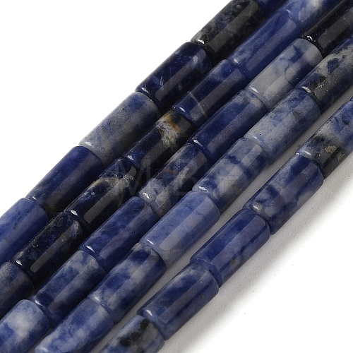 Natural Sodalite Beads Strands G-B091-A06-01-1