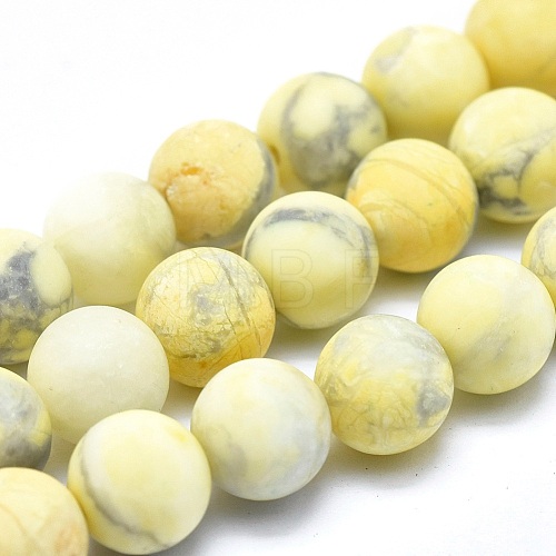 Natural Howlite Bead Strands G-I224-04B-8mm-1