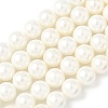 Shell Pearl Beads Strands BSHE-K015-10mm-03-1