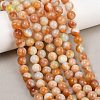 Handmade Lampwork Beads Strand LAMP-B056-8mm-12-1