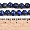 Natural Lapis Lazuli Beads Strands G-S333-10mm-013-6