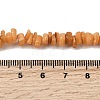 Natural Freshwater Shell Beads SHEL-B003-01H-4
