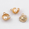 Alloy Charms X-PALLOY-N0118-267-2