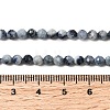 Natural Sapphire Beads Strands G-G343-B05-4mm-5
