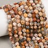 Natural Crazy Agate Beads Strands G-P611-C06-01-1