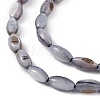 Natural Freshwater Shell Dyed Beads Strands X-SHEL-M018-13-04-3
