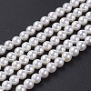 Shell Pearl Bead Strands X-BSHE-P023-3mm-1