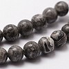 Natural Map Stone/Picasso Stone/Picasso Jasper Bead Strands X-G-D840-60-6mm-3