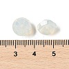 K9 Glass GLAA-R001-04C-01-2
