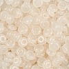 Transparent Colours Glass Seed Beads SEED-P008-01B-06-2