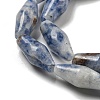 Natural Blue Spot Beads Strands G-A223-A06-01-4