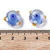 Handmade Lampwork Enamel Beads LAMP-Z020-04B-3