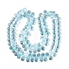Baking Paint Transparent Glass Beads Strands GL-N005-02A-D07-2