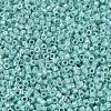 MIYUKI Delica Beads X-SEED-J020-DB1576-3