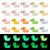Luminous Resin European Beads CRES-TAC0008-01-1