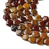 Natural Petrified Wood Beads Strands G-H344-B03-01-4