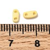 2-Hole Baking Paint Glass Seed Beads SEED-S023-17A-12-3