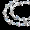 Electroplate Butterfly Glass Beads Strands EGLA-A036-08A-AB06-4