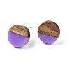 Opaque Resin & Walnut Wood Stud Earrings EJEW-N017-008-B09-2