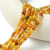 Dyed Natural Dragon Veins Agate Beads Strands X-G-C068-6mm-15-2