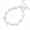 Shell Pearl Beads Strands PEAR-T005-03-4