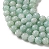 Natural Glass Beads Strands G-A313-A01-8mm-4