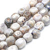 Natural Agate Beads Strands G-I245-32A-1