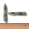 Natural Labradorite Pointed Big Pendants G-Z055-01P-23-3