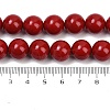 Shell Pearl Beads Strands BSHE-K015-12mm-01-4