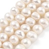 Natural Cultured Freshwater Pearl Beads Strands PEAR-C003-16E-2