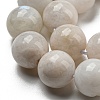 Natural Rainbow Moonstone Beads Strands G-N328-024-10mm-AB-3