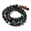 Natural Indian Agate Beads Strands G-T047-A02-02-3