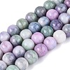 Opaque Ombre Effect Dyed Glass Beads Strands GLAA-Q106-04A-14-1